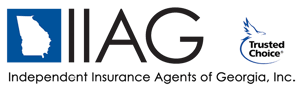 IIAG-Blue-Black-White-Logo-No-Background