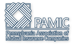 PAMIC white with blue stroke